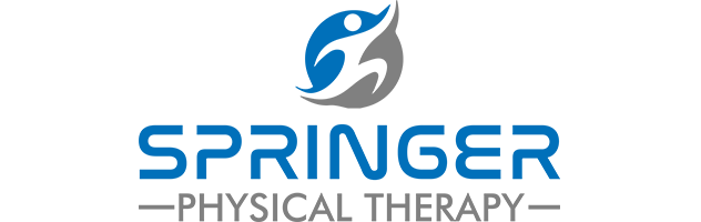 Springer Physical Therapy | Physical Therapy Documentation Software | Physical Therapy Billing Software