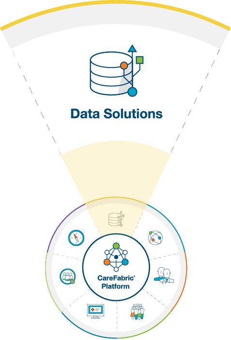 Data Solutions CareFabric Solutions and Services