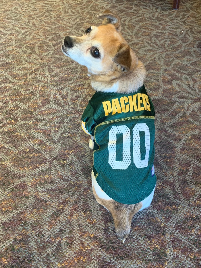 Dog in Packers Shirt