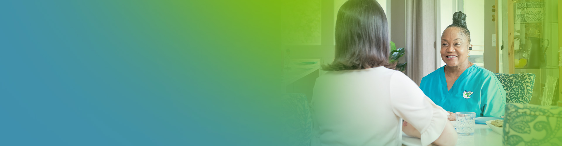 hospice nurse with care taker