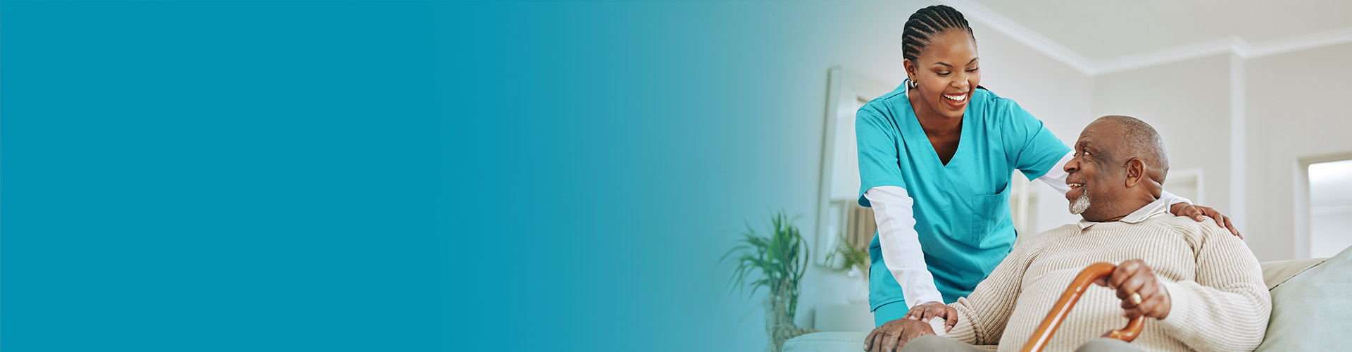 consulting and regulation services